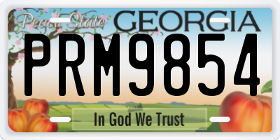 GA license plate PRM9854