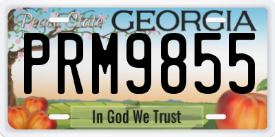 GA license plate PRM9855