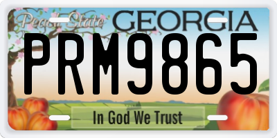 GA license plate PRM9865