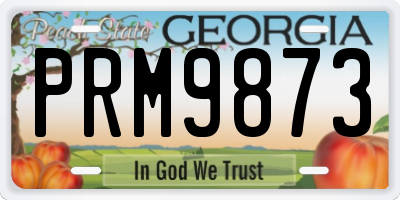 GA license plate PRM9873