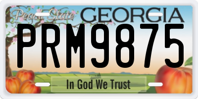 GA license plate PRM9875