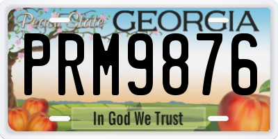GA license plate PRM9876