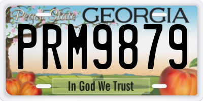 GA license plate PRM9879