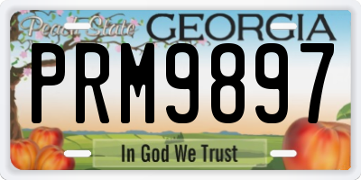 GA license plate PRM9897