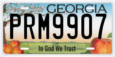 GA license plate PRM9907
