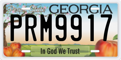 GA license plate PRM9917