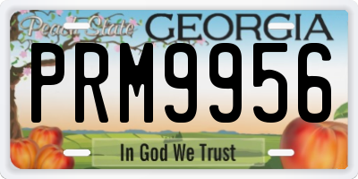 GA license plate PRM9956
