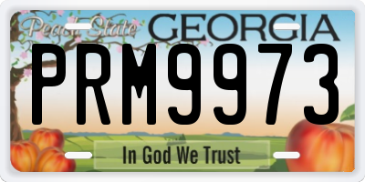 GA license plate PRM9973