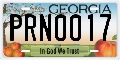 GA license plate PRN0017
