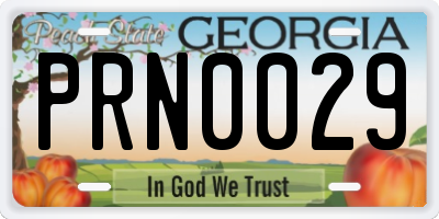 GA license plate PRN0029