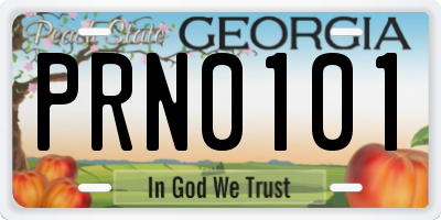 GA license plate PRN0101
