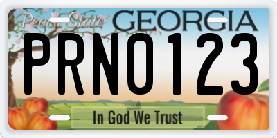 GA license plate PRN0123