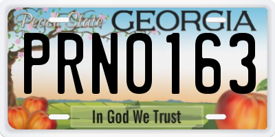 GA license plate PRN0163