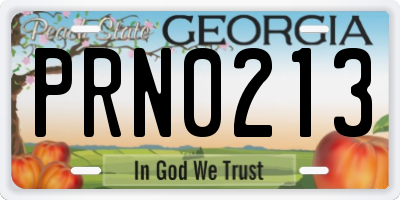 GA license plate PRN0213
