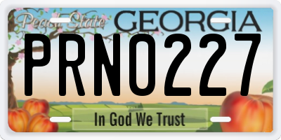 GA license plate PRN0227