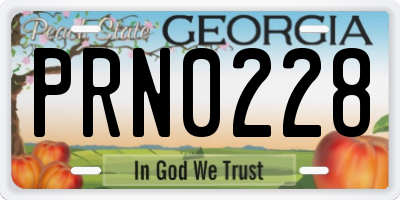 GA license plate PRN0228