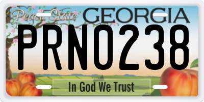 GA license plate PRN0238