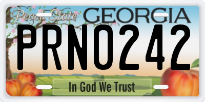 GA license plate PRN0242