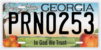 GA license plate PRN0253