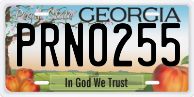 GA license plate PRN0255