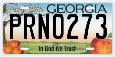 GA license plate PRN0273