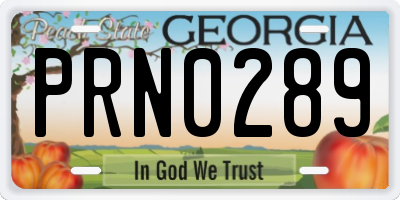 GA license plate PRN0289