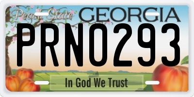 GA license plate PRN0293
