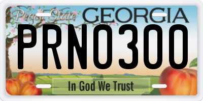 GA license plate PRN0300