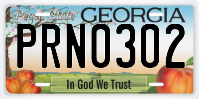GA license plate PRN0302