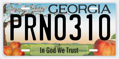 GA license plate PRN0310