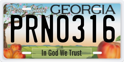 GA license plate PRN0316