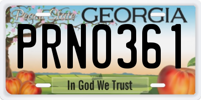 GA license plate PRN0361