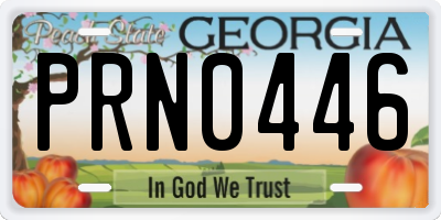 GA license plate PRN0446