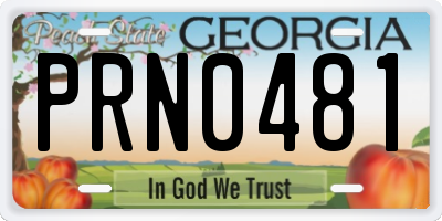 GA license plate PRN0481