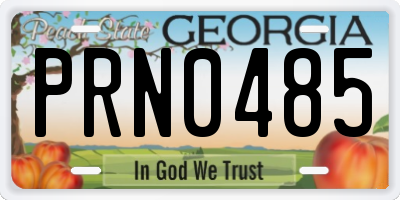 GA license plate PRN0485