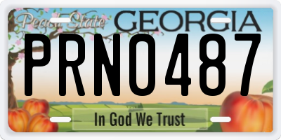 GA license plate PRN0487