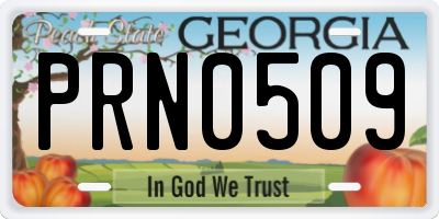 GA license plate PRN0509