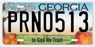 GA license plate PRN0513