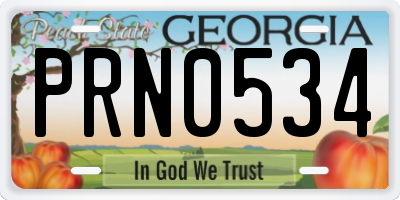 GA license plate PRN0534