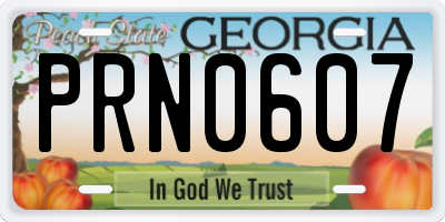 GA license plate PRN0607