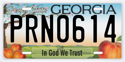 GA license plate PRN0614