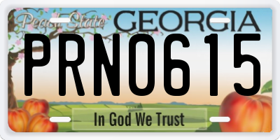 GA license plate PRN0615