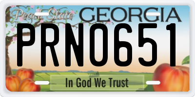 GA license plate PRN0651