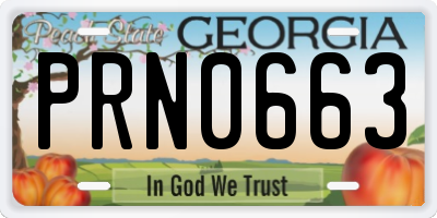 GA license plate PRN0663