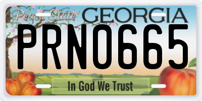 GA license plate PRN0665