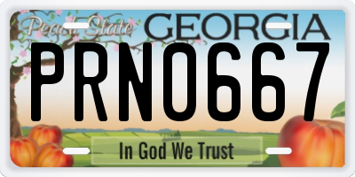 GA license plate PRN0667