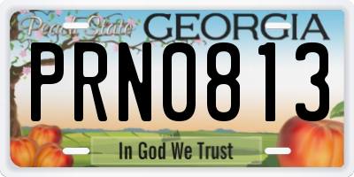 GA license plate PRN0813
