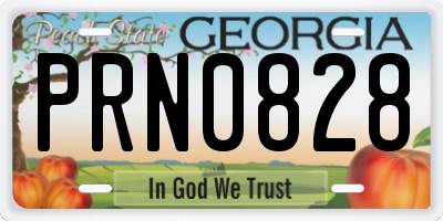GA license plate PRN0828
