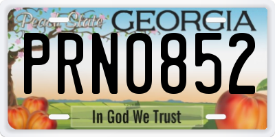 GA license plate PRN0852