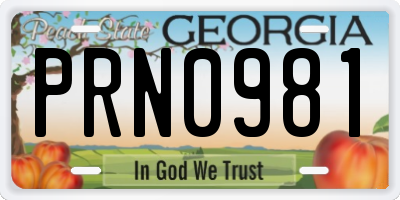 GA license plate PRN0981